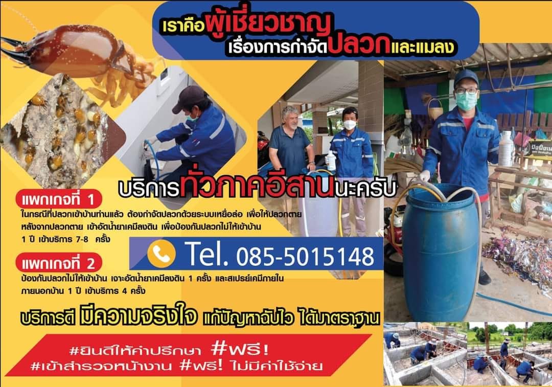 บริการกำจัดปลวกและแมลงครบวงจรในขอนแก่น โดย ยูบี บั๊กส์ เซอร์วิส
